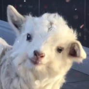 无产阶级站起来