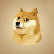 justdoge23