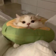 弘扬伟大建党精神