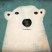 Ursa Polar