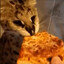 but here&#039;s the pizzer!