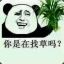 小宝的丝带