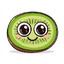 CannedKiwis