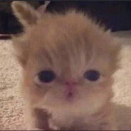 Og Бекончики³²²