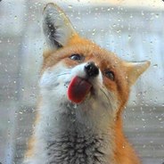 Boooii