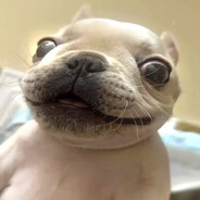 BoyOHBoy's Avatar