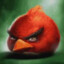 angry bird (f2p)