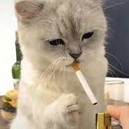 王源唱歌只会哞哞叫