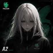 A2