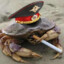 Commissar Crab (DRN)