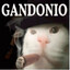 Gandonio's avatar