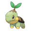 Turtwig