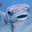 Smooth Cactus
