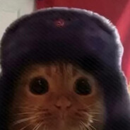 海底捞在逃虾滑