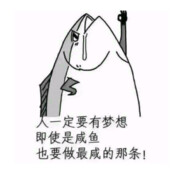 一个试图翻身的咸鱼