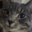 catkillers