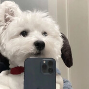 能不能别让我打步枪？