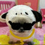 xiaojie
