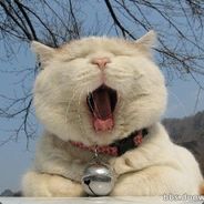 路不好请看清  走好