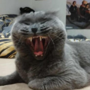 ElTigerasoBombaso - steam id 76561199480375165