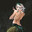 Xenexiia avatar