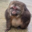 ermolios's avatar