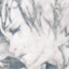 tokigo
