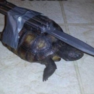 War Turtle