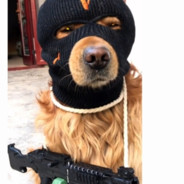 你我皆是磨刀石