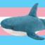 Silly Trans Shark