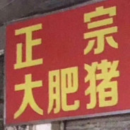 帅气哈士奇