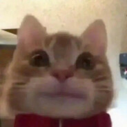 开心超人爱操人