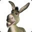 Hi_Donkey