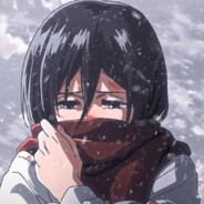 Mikasa