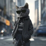 风流倜傥小云狼