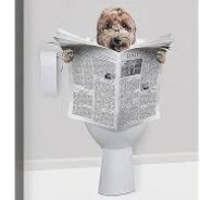 ☆ώɨ€ȼƶ๏я€Ќ☆