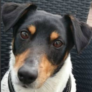 Christian ★★★★★