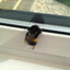 hive time
