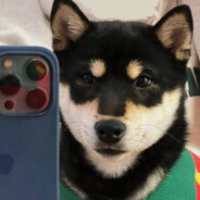 芙蓉王源味魔芋爽（坤