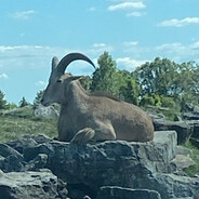 горобець - steam id 76561198157090523