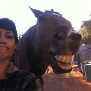 охранник лоутаба - steam id 76561198881582011