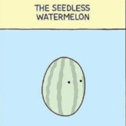 ✪Seedless Watermelon✪