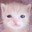 catcummie