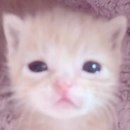 catcummie