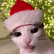 ТИХОсик - steam id 76561199532999797