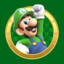 LUIGI-