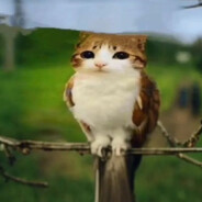 Dodep house👹👹👹