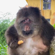 _A_JA_MAM_TO_W_PIŹDZIE_