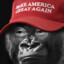 maga monkey