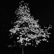 疼生得甜后夜子